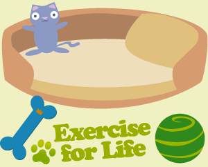 Exercise your dog in Claremorris, County Mayo