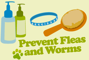 Prevent fleas and worms for your dog or cat in Claremorris, County Mayo