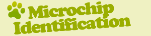 Microchip your dog or cat in County Mayo