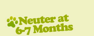 Neuter your pet in Claremorris, County Mayo