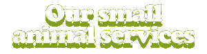 Small animal services in Claremorris, County Mayo