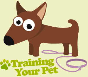 Training your pet in Claremorris, County Mayo